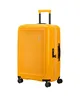 American Tourister Koffer Dashpop 67 cm