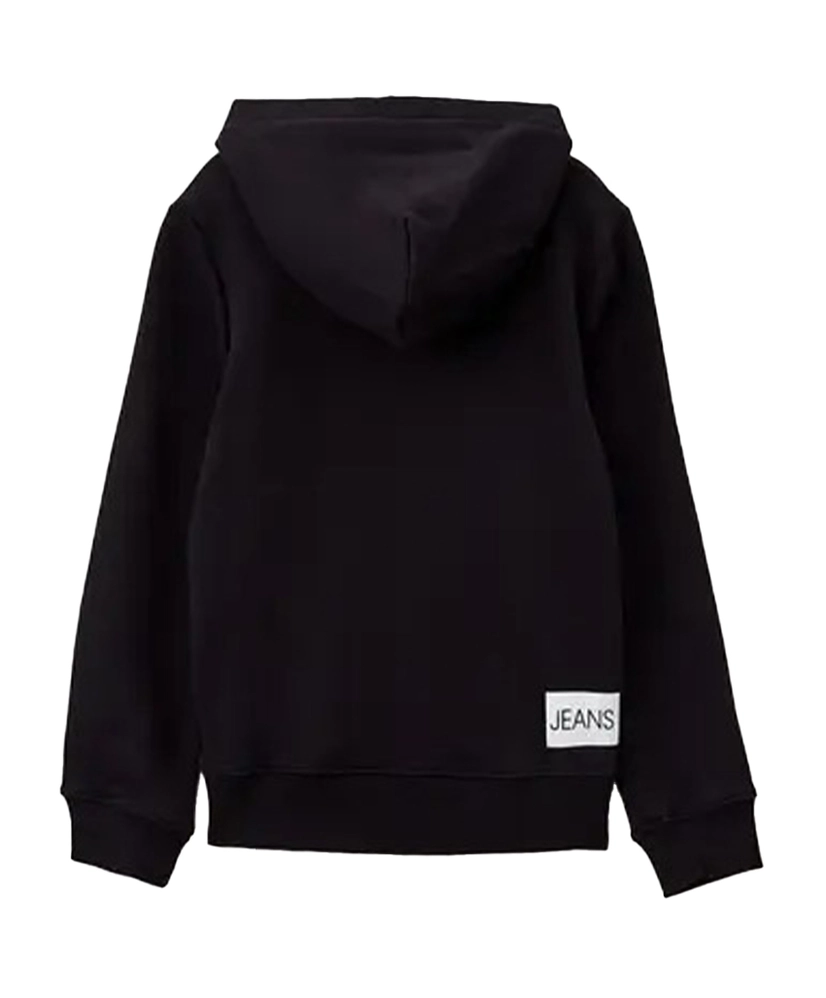 Calvin Klein Hoodie Institutional