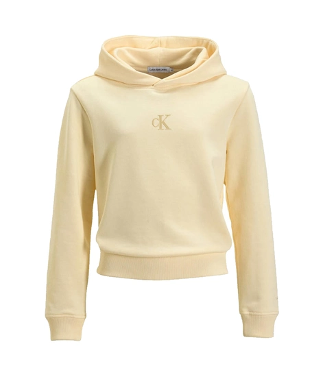 Calvin Klein Hoodie Logo Boxy