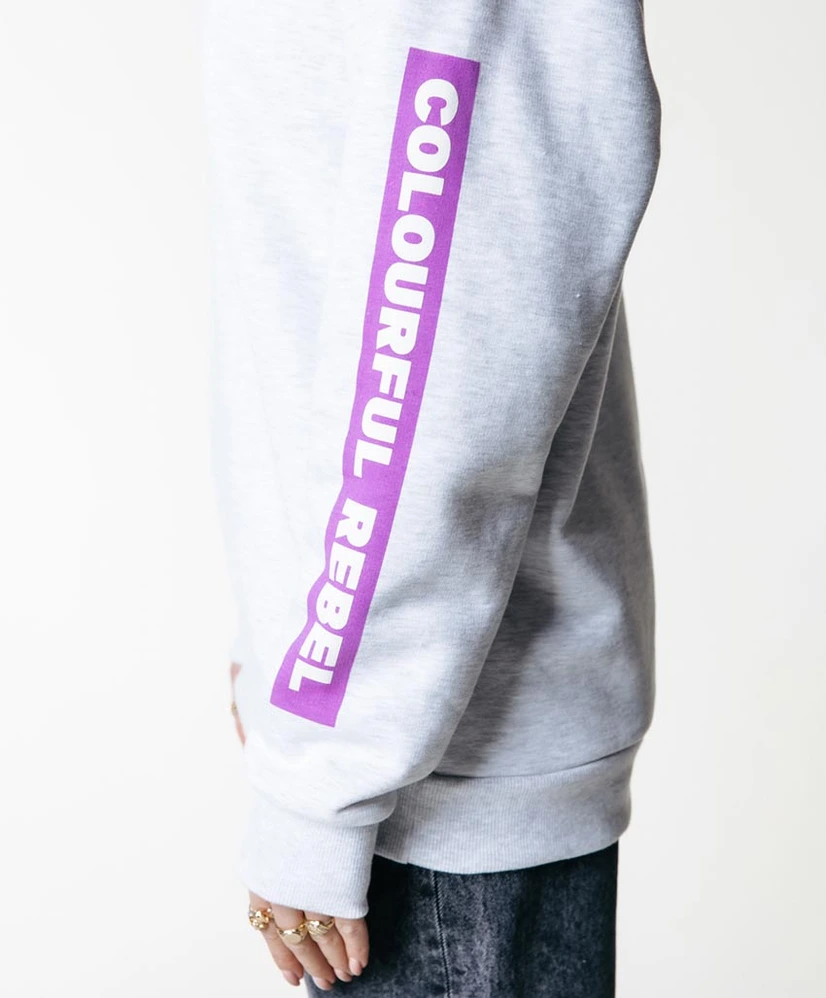 Colourful Rebel Hoodie Sleeve Logo