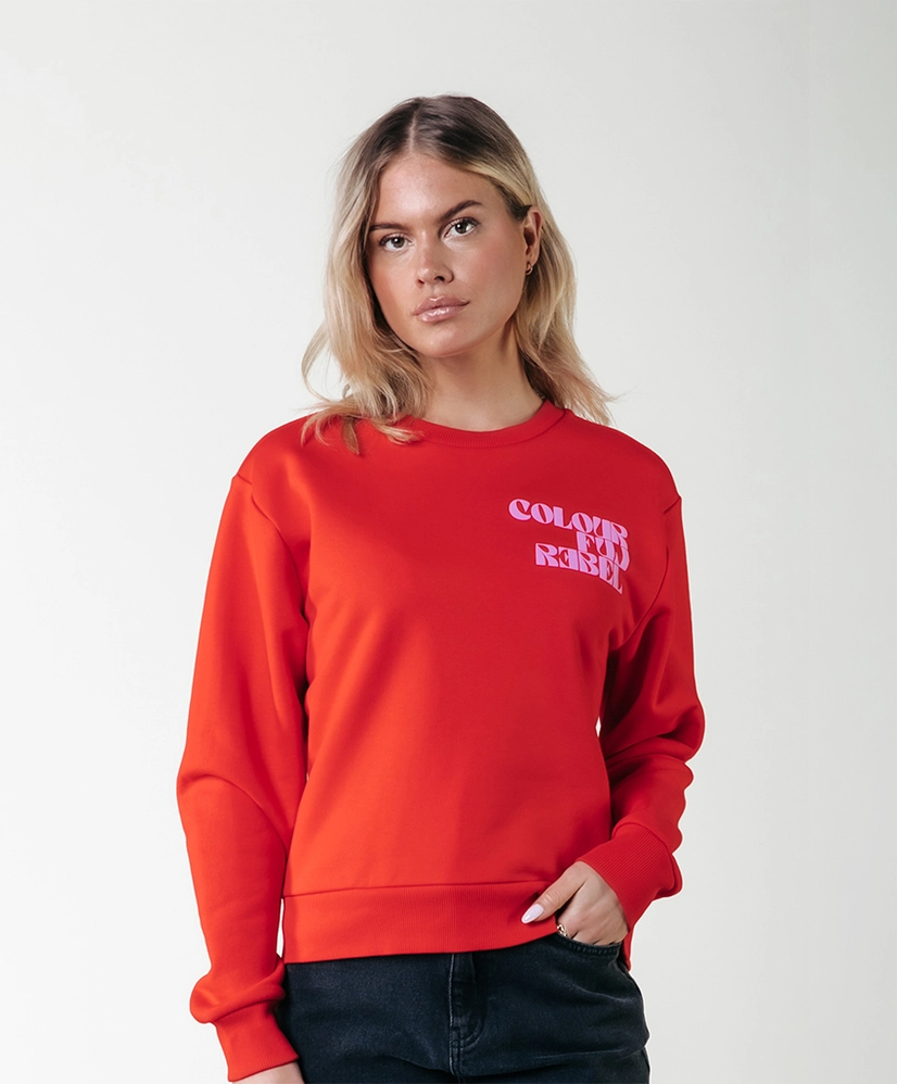 Colourful Rebel Sweater Puff Logo