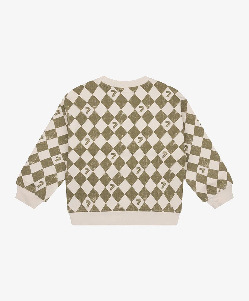 Daily7 Sweater Geruit