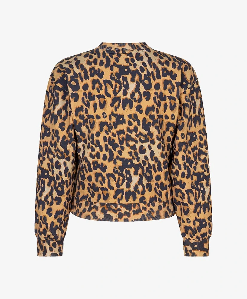 Indian Blue Jeans Sweater Leopard