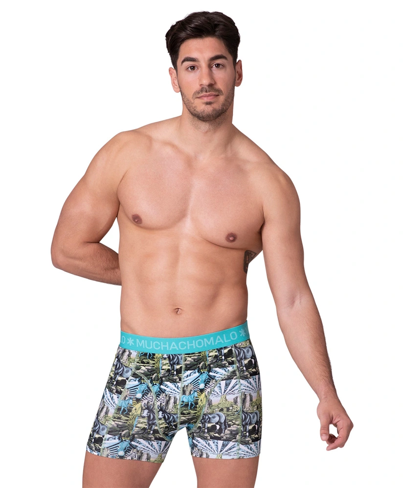 Muchachomalo Boxer Captain Donkey 2-Pack