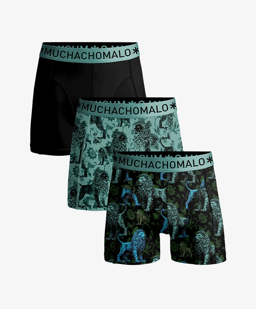 Muchachomalo Boxer Lion 3-Pack