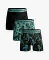 Muchachomalo Boys Boxer Lion 3-Pack