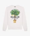 Quotrell Sweater Limone