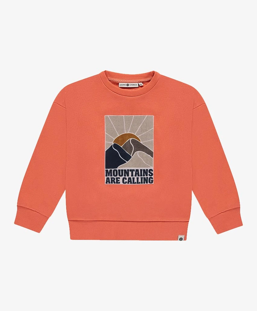 Stains & Stories Sweater Mountains Are Calling