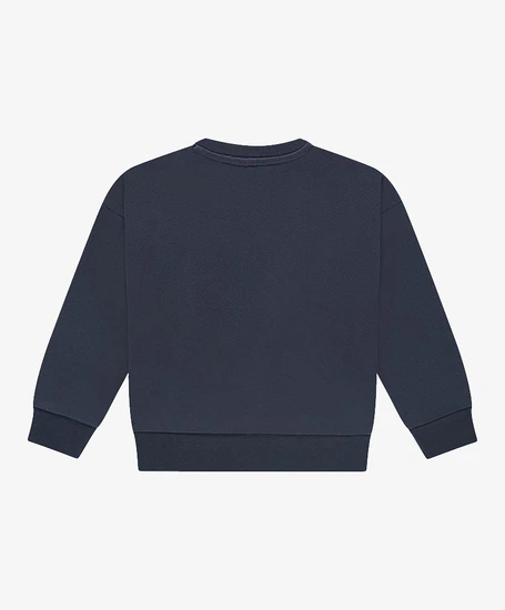 Stains & Stories Sweater Vogel