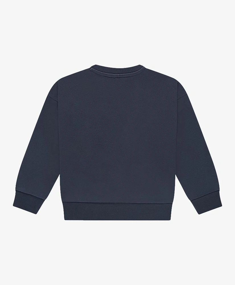 Stains & Stories Sweater Vogel