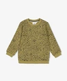 STURDY Sweater Vissen