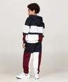 Tommy Hilfiger Hoodie Block Zip